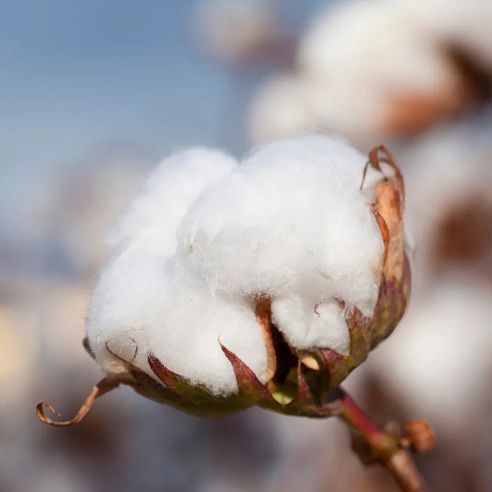 Organic Waffle Cotton Baby Blanket Soft Breathable Nursery Essential