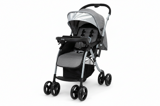Gray and black stroller on a white background